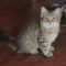 Martha D. London. profile picture